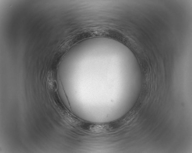 X0000060550129200511171549