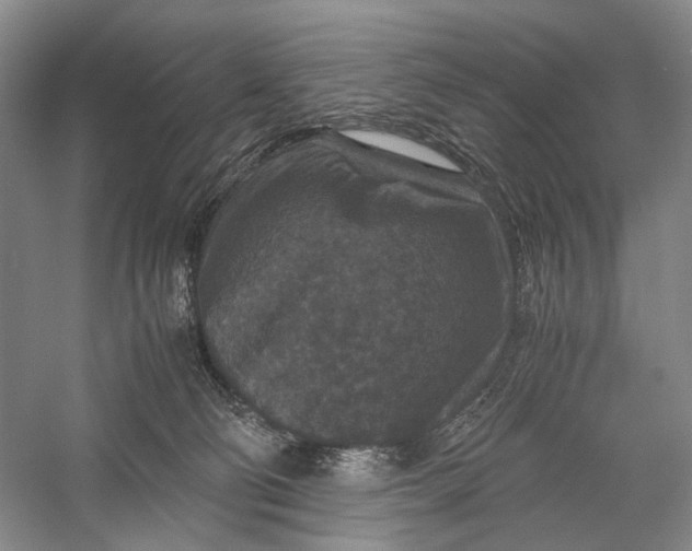 X0000060550130200511171549