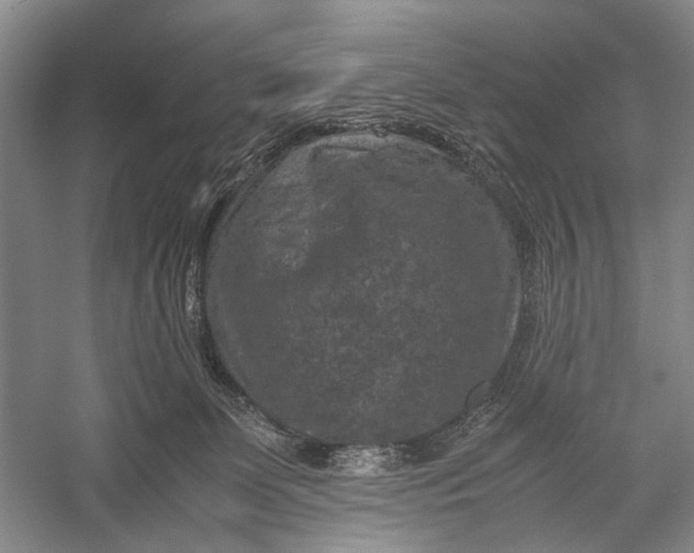 X0000060550131200511171549