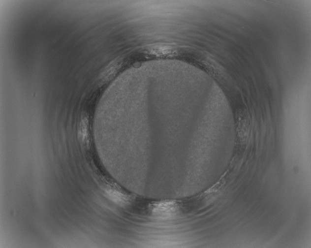 X0000060550132200511171549