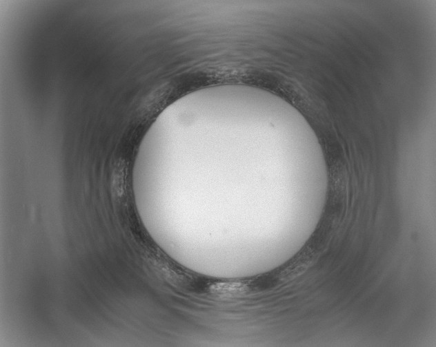 X0000060550133200511171548