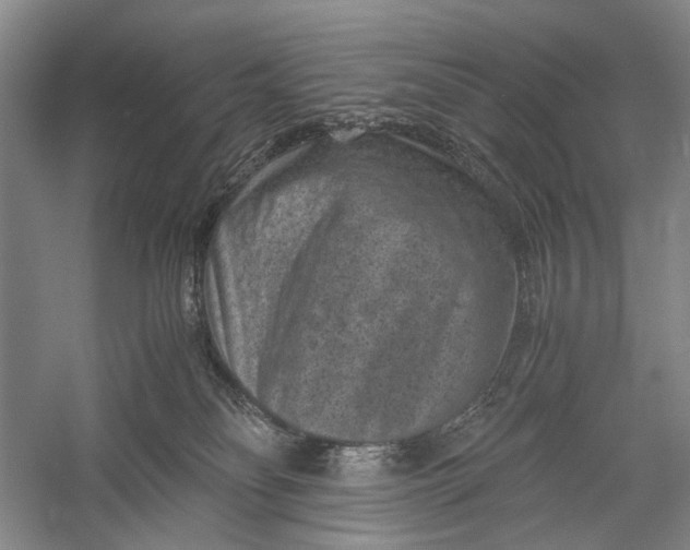 X0000060550134200511171548