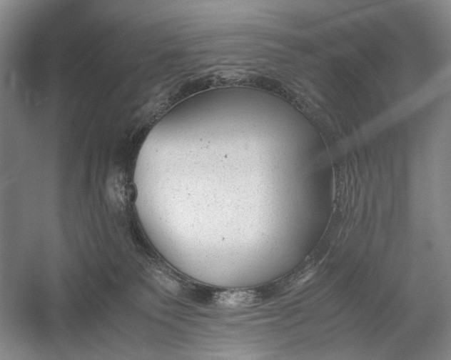 X0000060550135200511171548