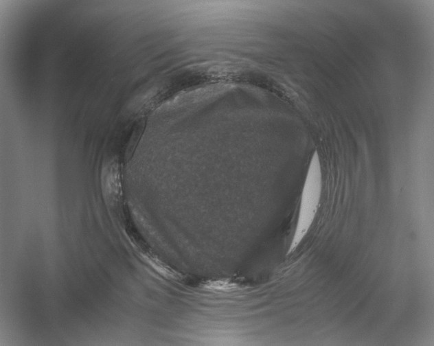 X0000060550137200511171548