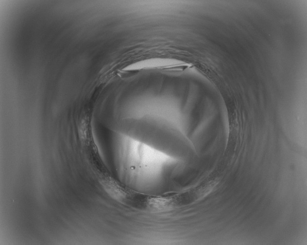 X0000060550139200511171548