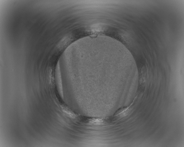 X0000060550140200511171548