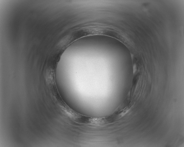 X0000060550141200511171548