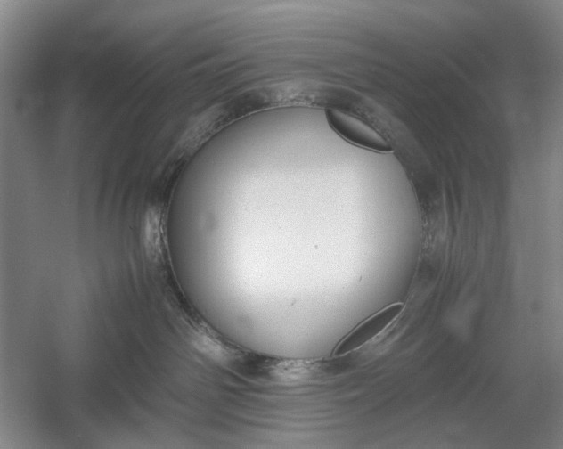 X0000060550142200511171548