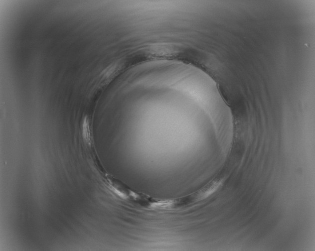 X0000060550143200511171548