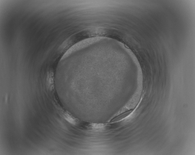 X0000060550144200511171548