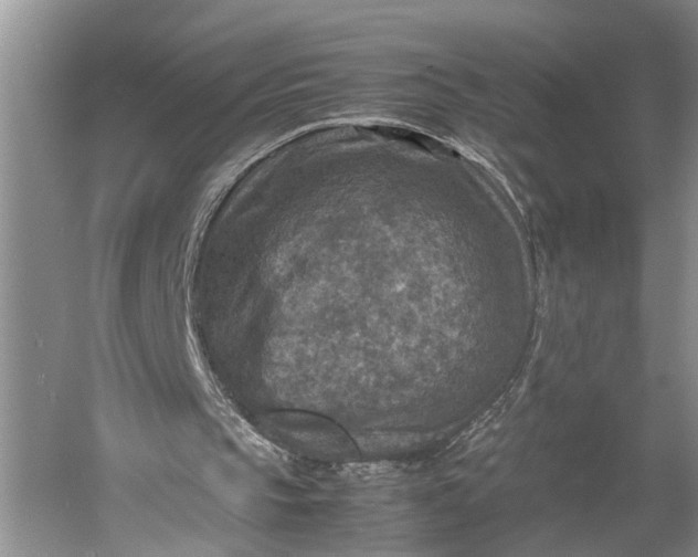 X0000060550145200511171547