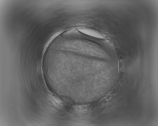 X0000060550147200511171548