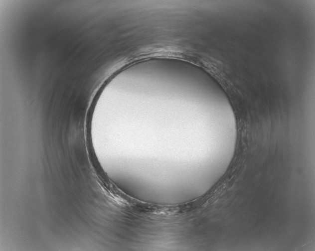 X0000060550148200511171548