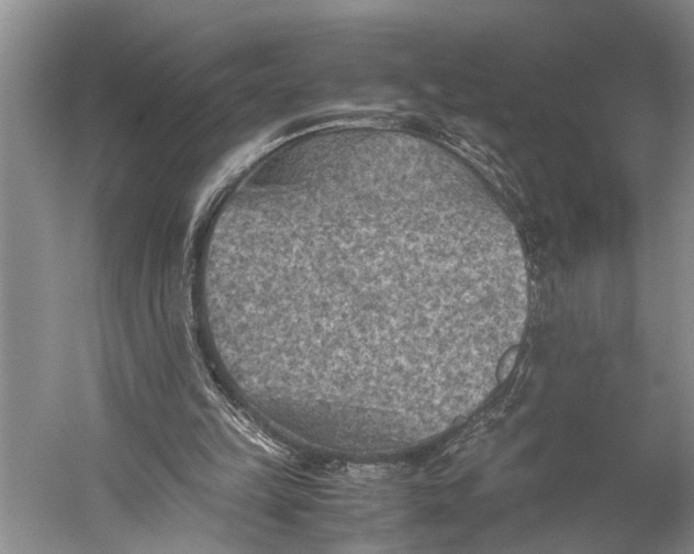 X0000060550149200511171548