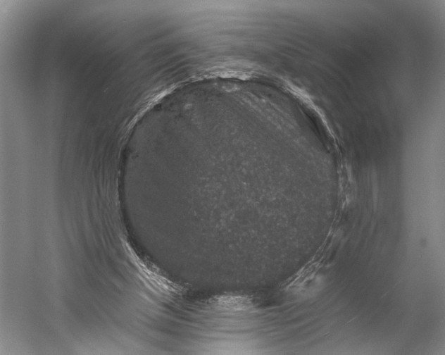 X0000060550154200511171548