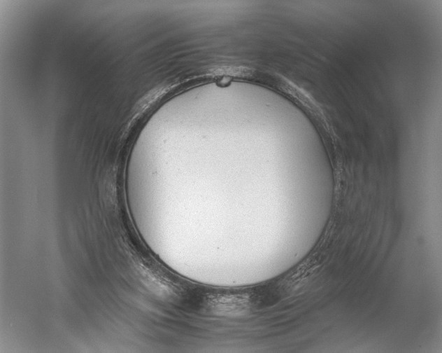 X0000060550155200511171548