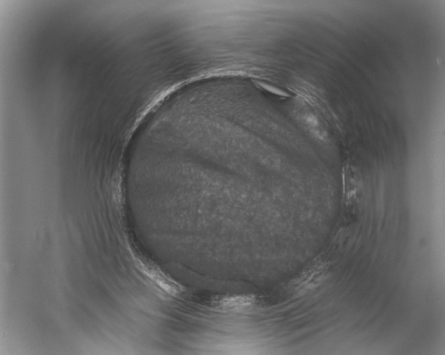 X0000060550156200511171548