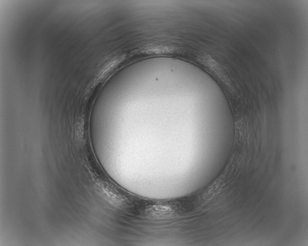 X0000060550159200511171548