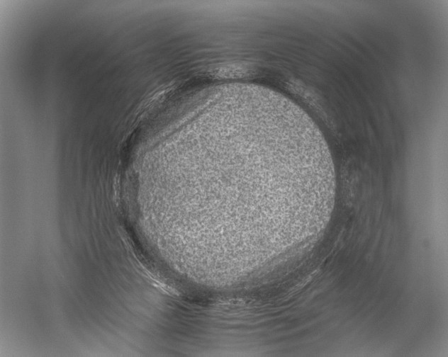 X0000060550161200511171548