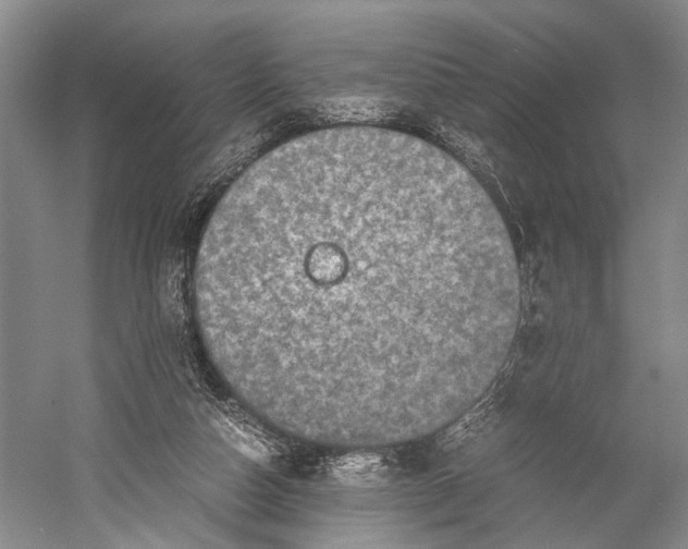 X0000060550162200511171548