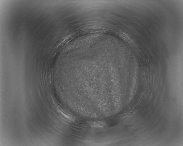 X0000060550165200511171548