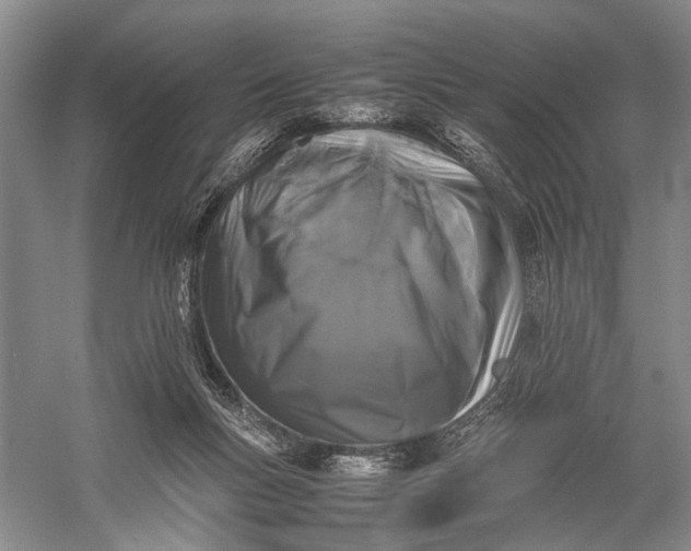 X0000060550167200511171548