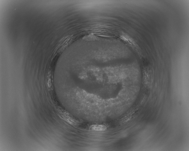 X0000060550169200511171548