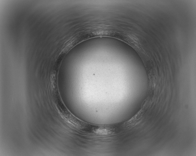 X0000060550171200511171548