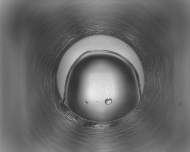 X0000060550172200511171548