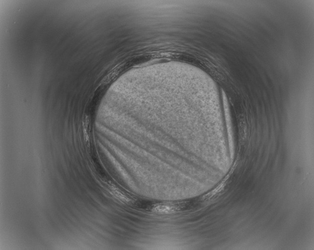 X0000060550174200511171548