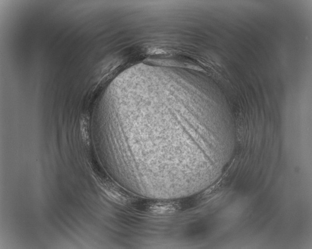 X0000060550175200511171548