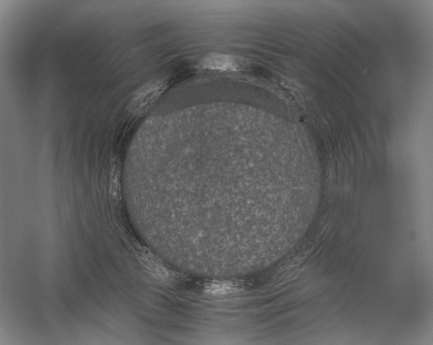 X0000060550177200511171548