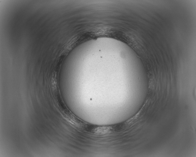 X0000060550179200511171548