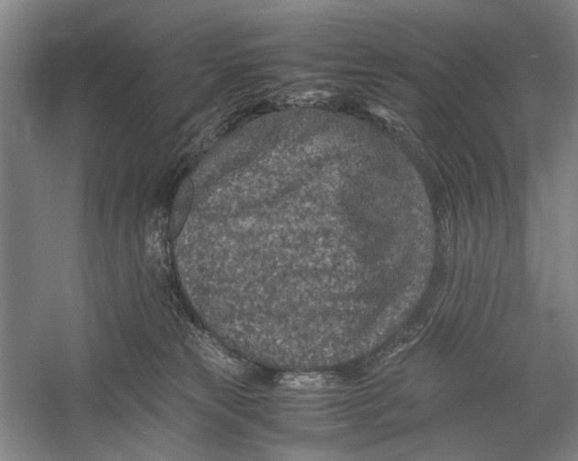 X0000060550181200511171548