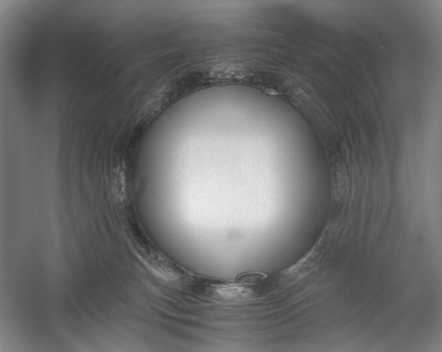 X0000060550183200511171548