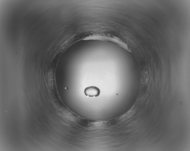 X0000060550184200511171548