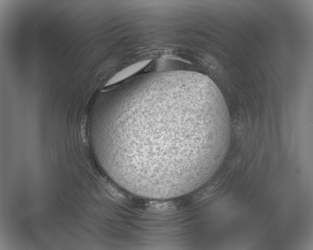 X0000060550185200511171548