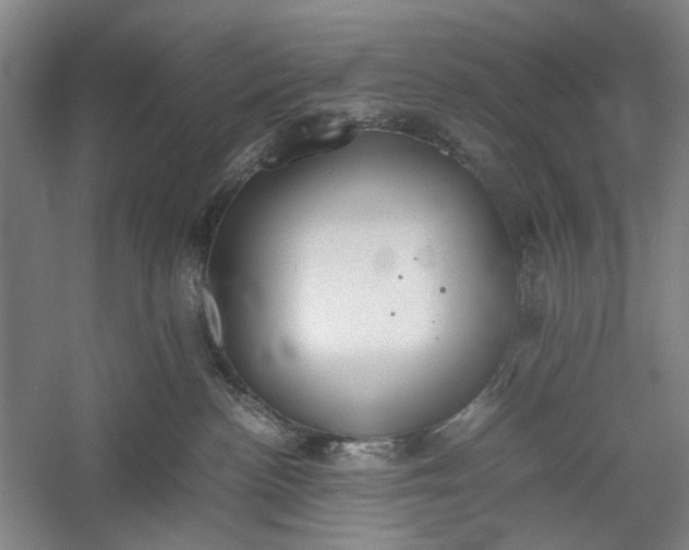 X0000060550188200511171548