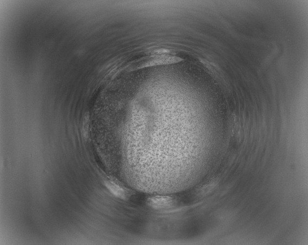 X0000060550189200511171548