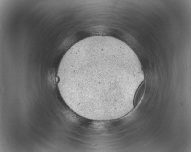 X0000060550190200511171548