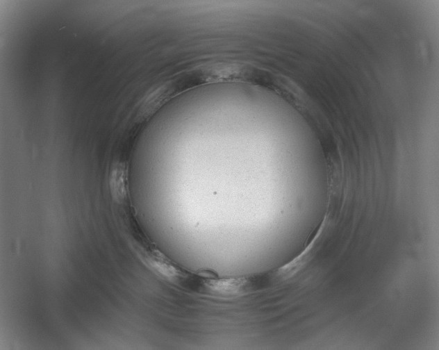 X0000060550191200511171548