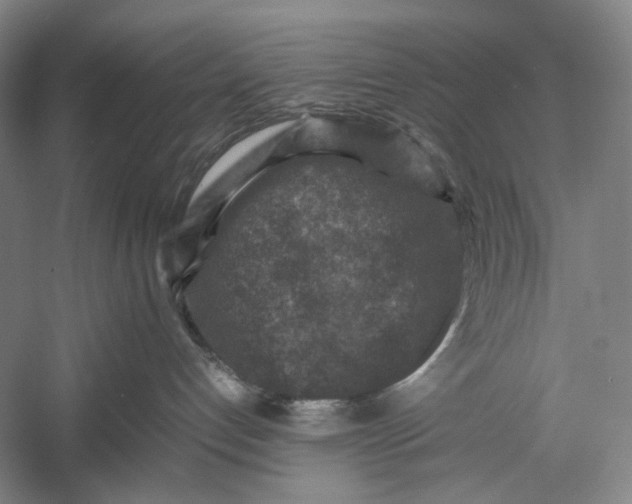 X0000060550192200511171548