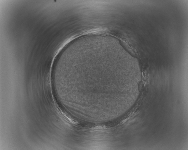 X0000060550196200511171547