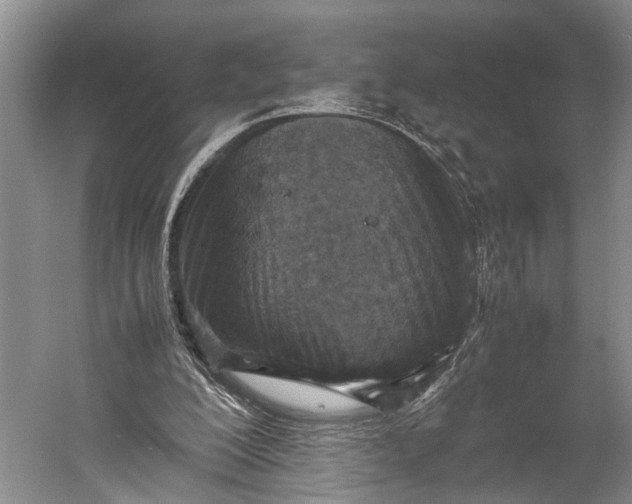 X0000060550200200511171547