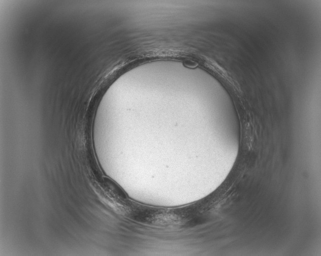 X0000060550203200511171547