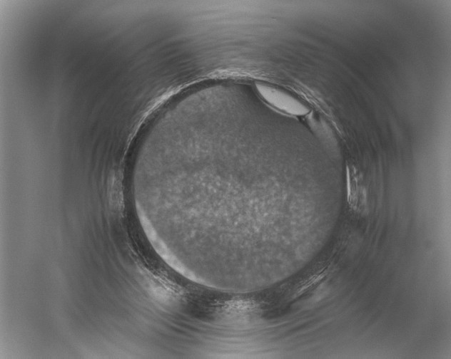 X0000060550204200511171547