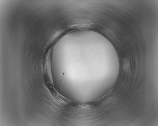 X0000060550206200511171547