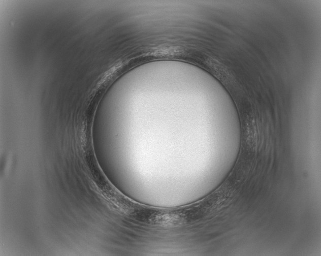 X0000060550208200511171547