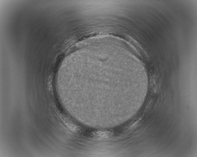 X0000060550209200511171547