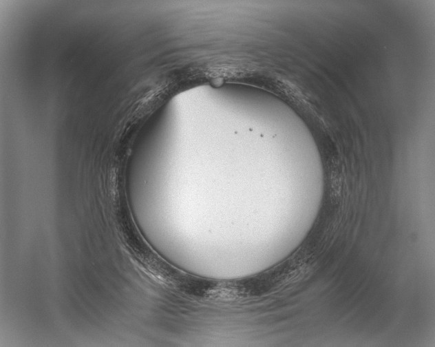 X0000060550211200511171547